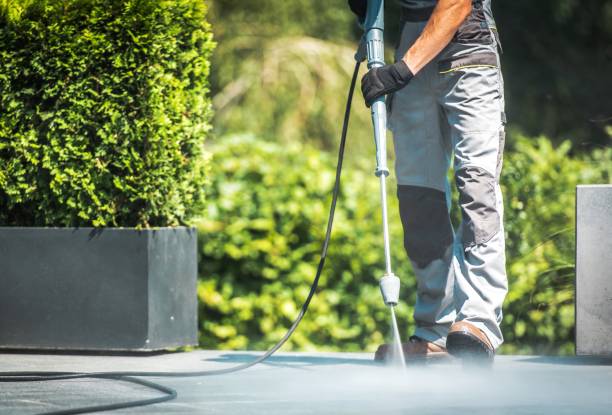 Best Sidewalk and Walkway Cleaning  in USA